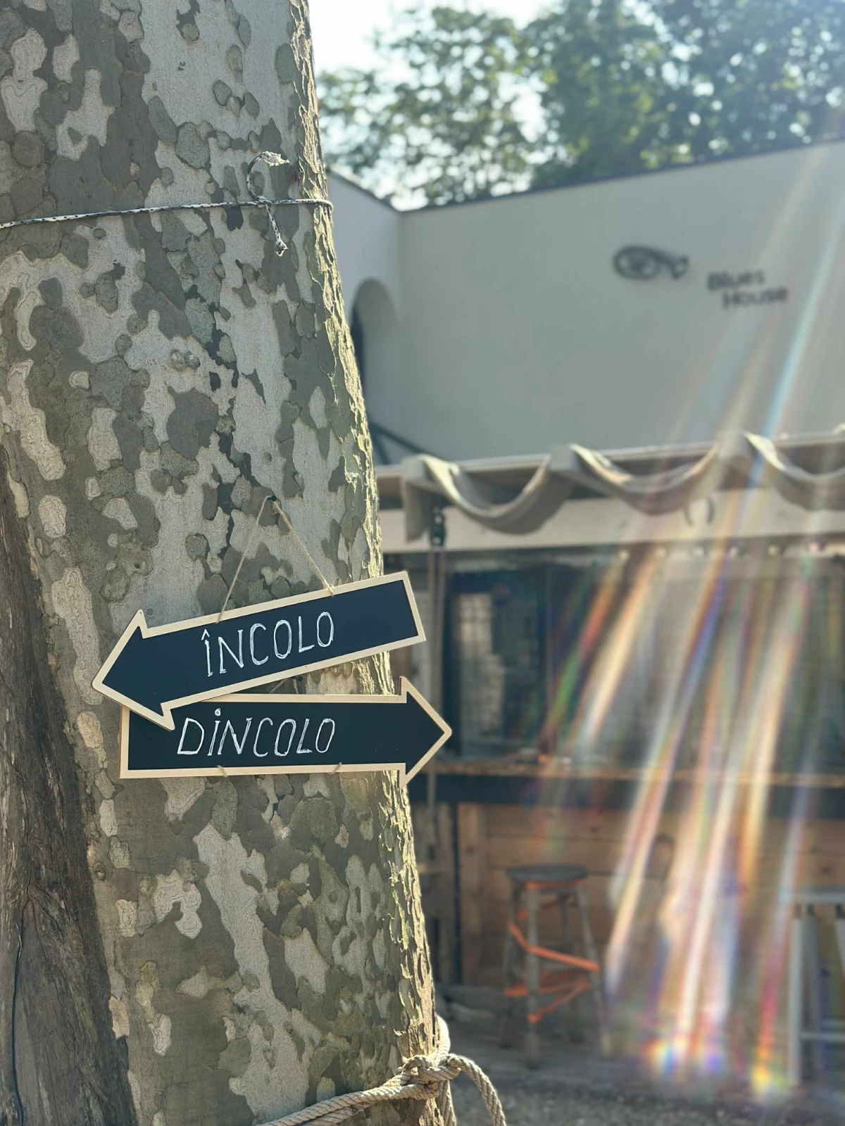 Bar Blues House Venus - Imagine 10