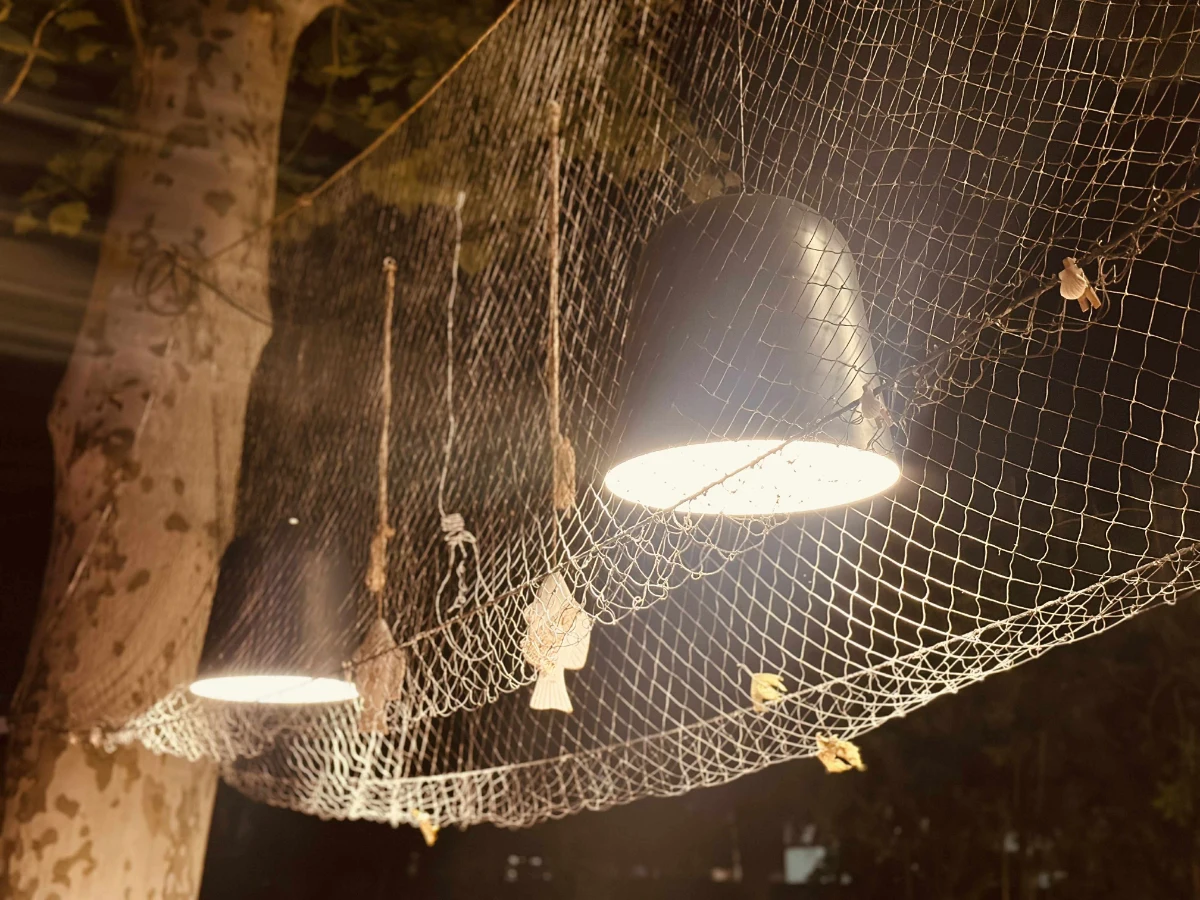 Bar Blues House Venus - Imagine 3