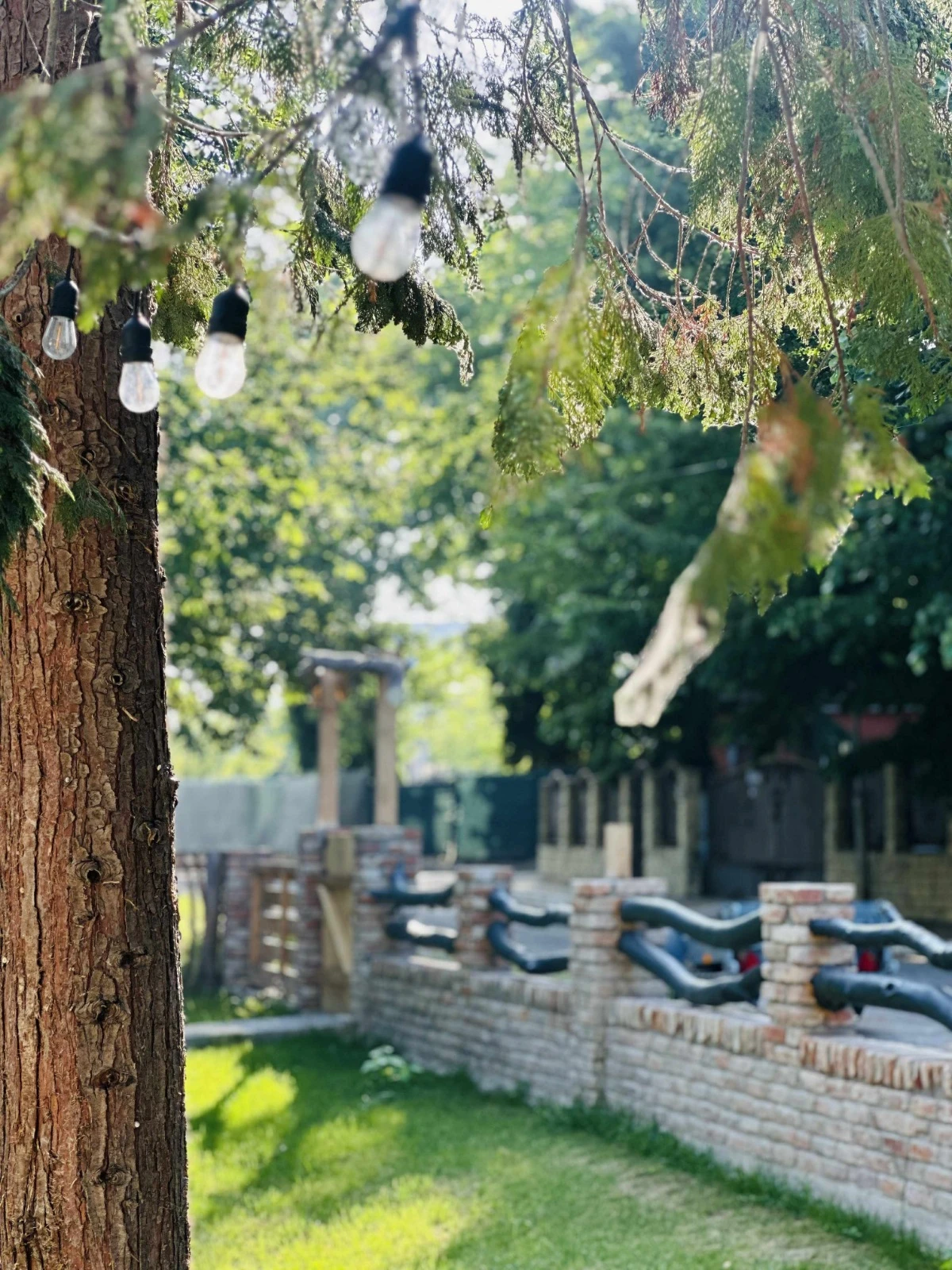 Pensiunea Blues House - Camera Venus - vedere curte pensiune Blues House